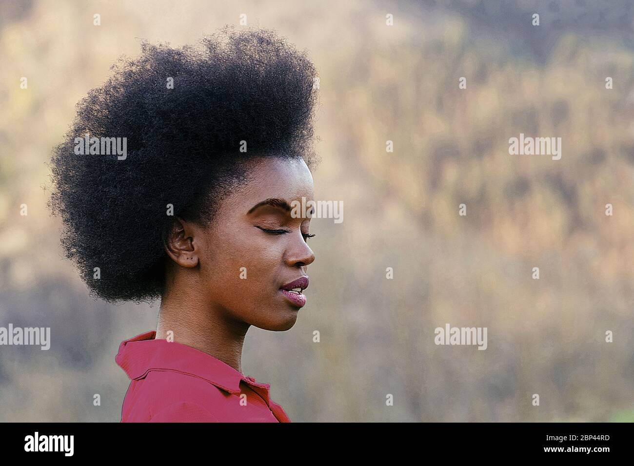 hermosa mujer con pelo afro meditando en la naturaleza Foto de stock