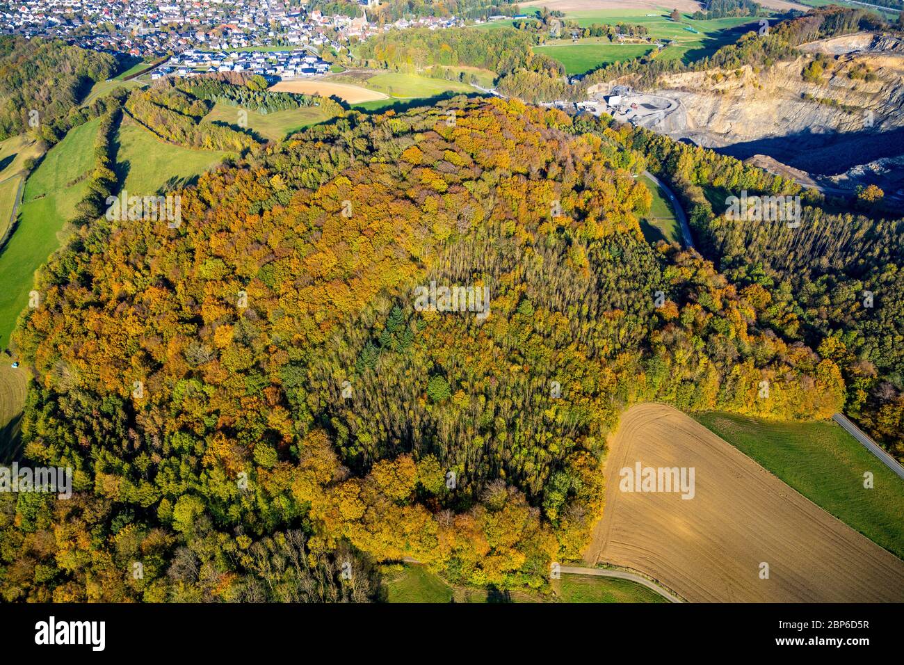 Vista aérea, bosque de otoño en colores brillantes, cerca de la cantera de Habbel, Arnsberg, Sauerland, Renania del Norte-Westfalia, Alemania Foto de stock