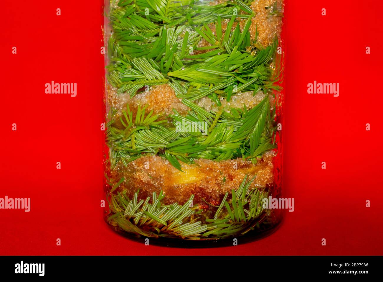 Jarra de vidrio con brotes de abeto y picea y azúcar morena para hacer jarabe natural para la tos Foto de stock
