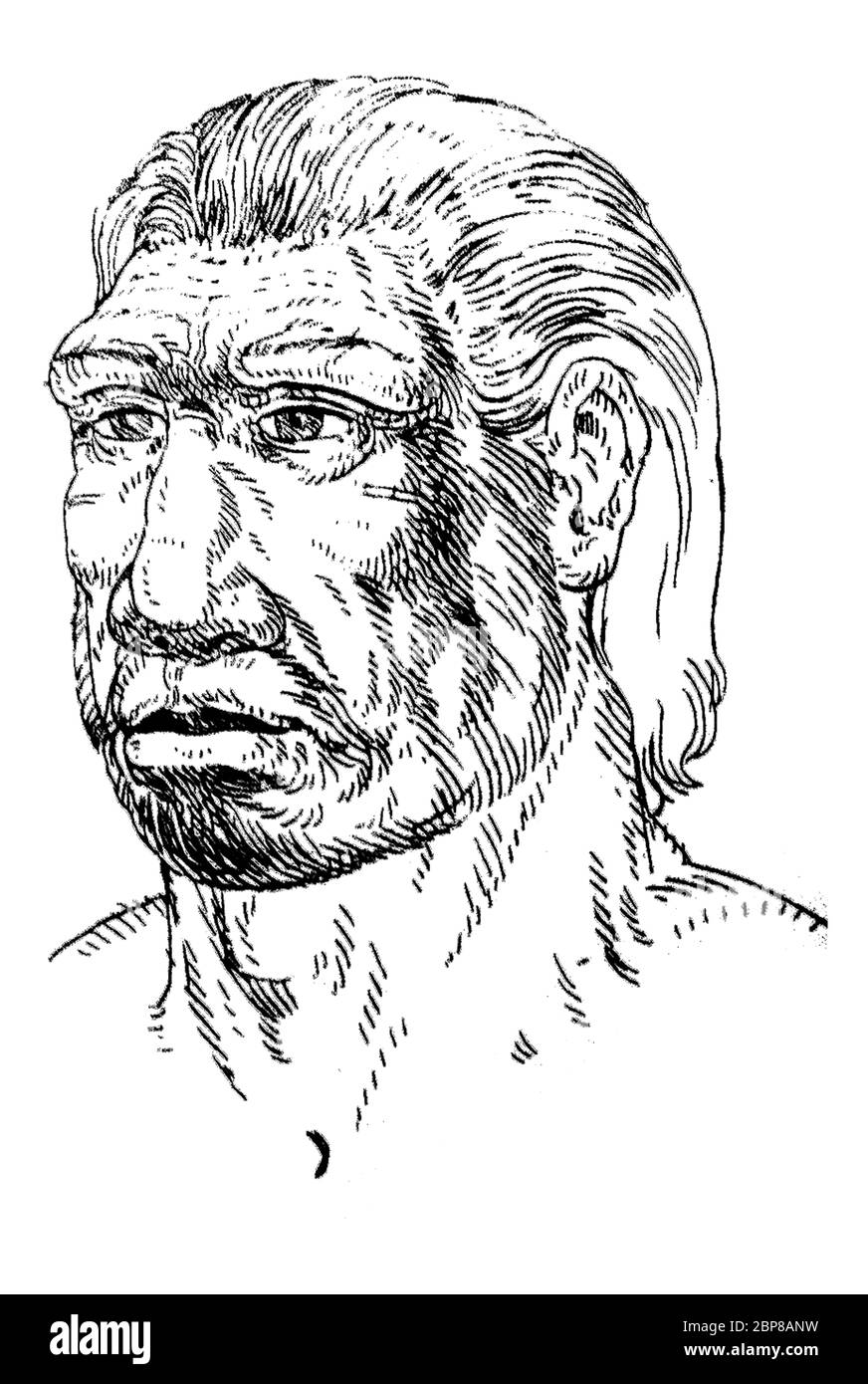 Retrato del hombre Neandertal. También se llama Homo sapiens neanderthalensis. Dibujo del Museo Arqueológico de Cataluña, Barcelona, España Foto de stock