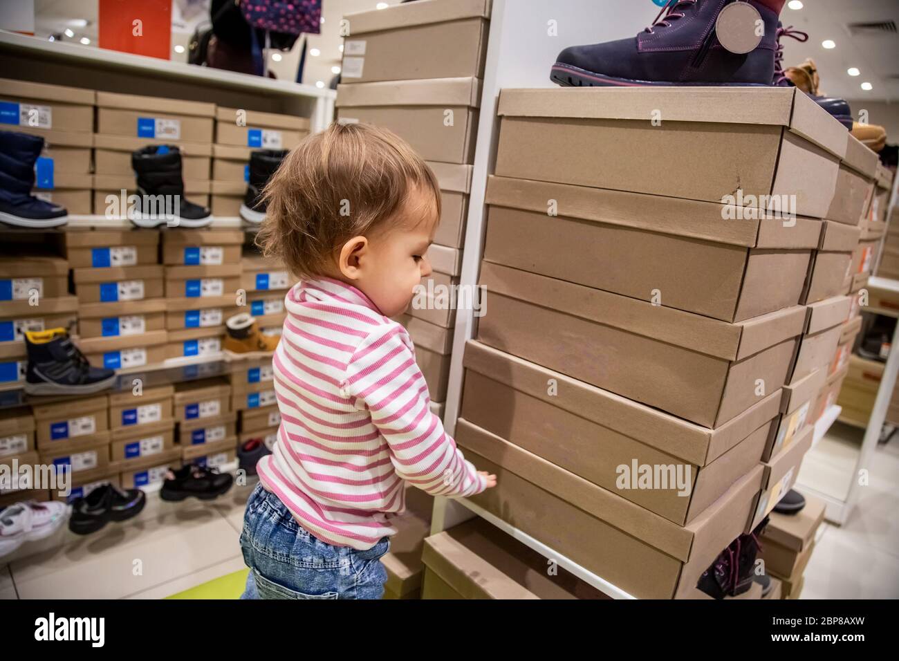 Caja Zapatos Pequeño