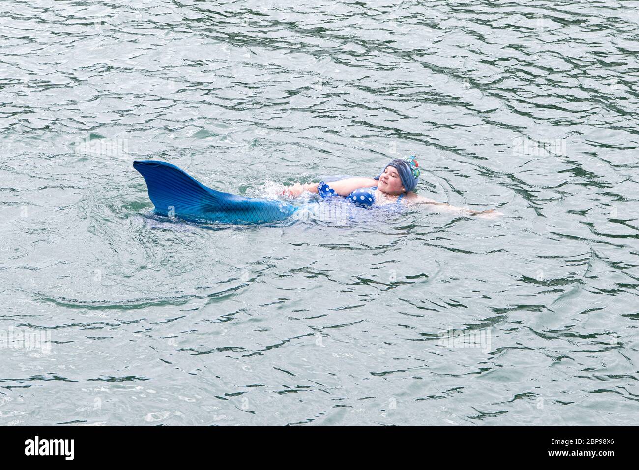 Porthleven, Cornawall, Reino Unido. 18 de mayo de 2020. En el folklore, una verdadera sirena de Cornualles, la sirena es una criatura acuática con la cabeza y el cuerpo superior de una hembra humana y la cola de un pez. Las sirenas aparecen en el folklore de muchas culturas en todo el mundo, nadando en porthleven crédito: kathleen White/Alamy Live News Foto de stock