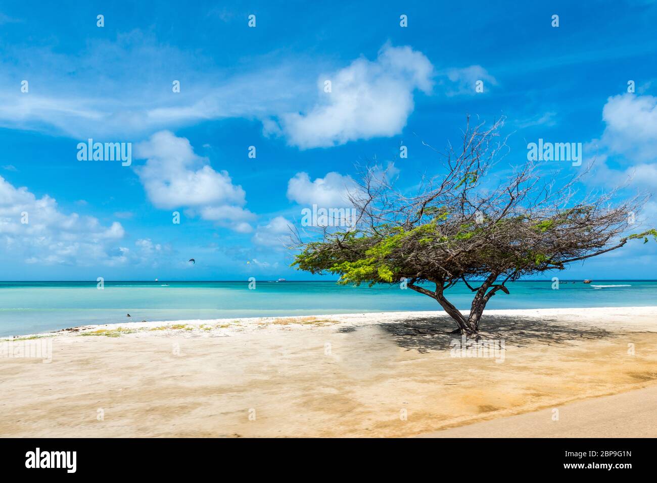 Strand auf Auba en der Karibik Foto de stock