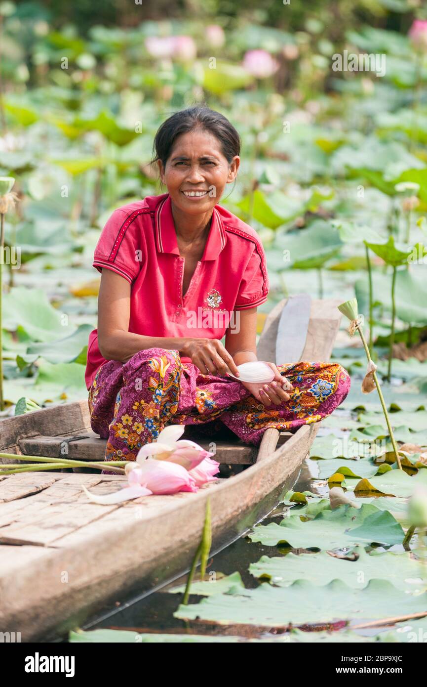 Retrato de una mujer camboyana en un barco de río que cosecha flores de loto, Camboya central, sudeste de Asia Foto de stock