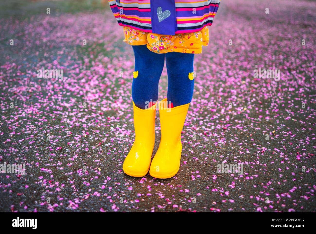 Niña con botas amarillas de goma caminando en el parque después de la lluvia. Niño jugando en el fondo flores de árbol caídas Fotografía de stock - Alamy
