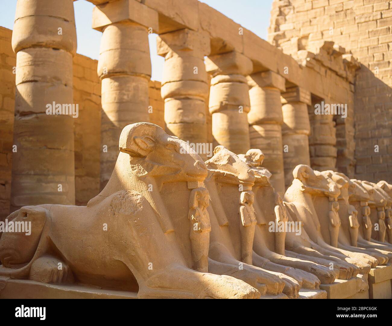Fila de esfinges con cabeza de carnero entre los pilones 1 y 2, complejo del Templo de Karnak, el-Karnak, Gobernación de Karnak, República de Egipto cabeza de carnero Foto de stock
