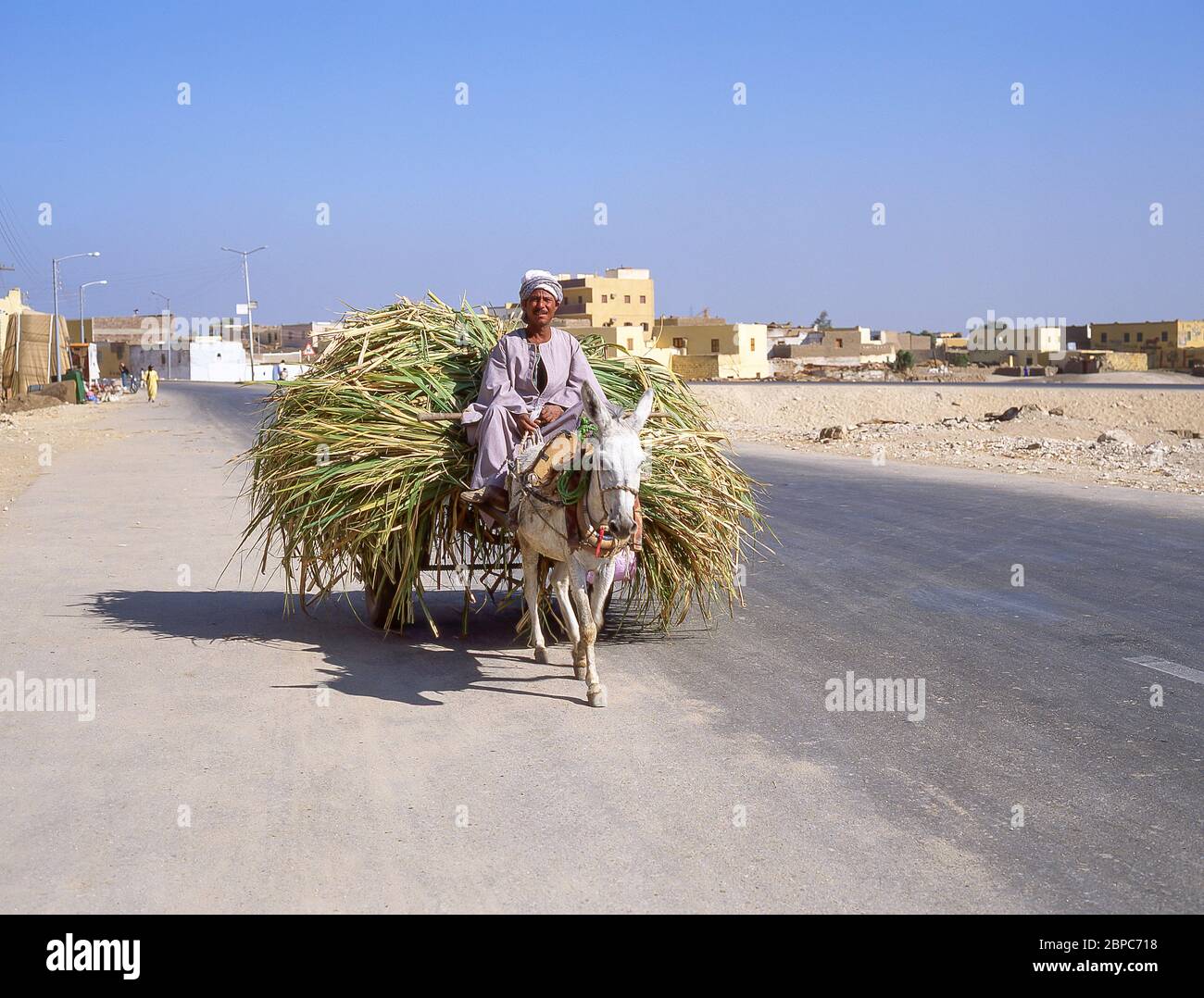 Hombre local montando un carro de burro en el camino a Luxor, Gobernación de Luxor, República de Egipto Foto de stock