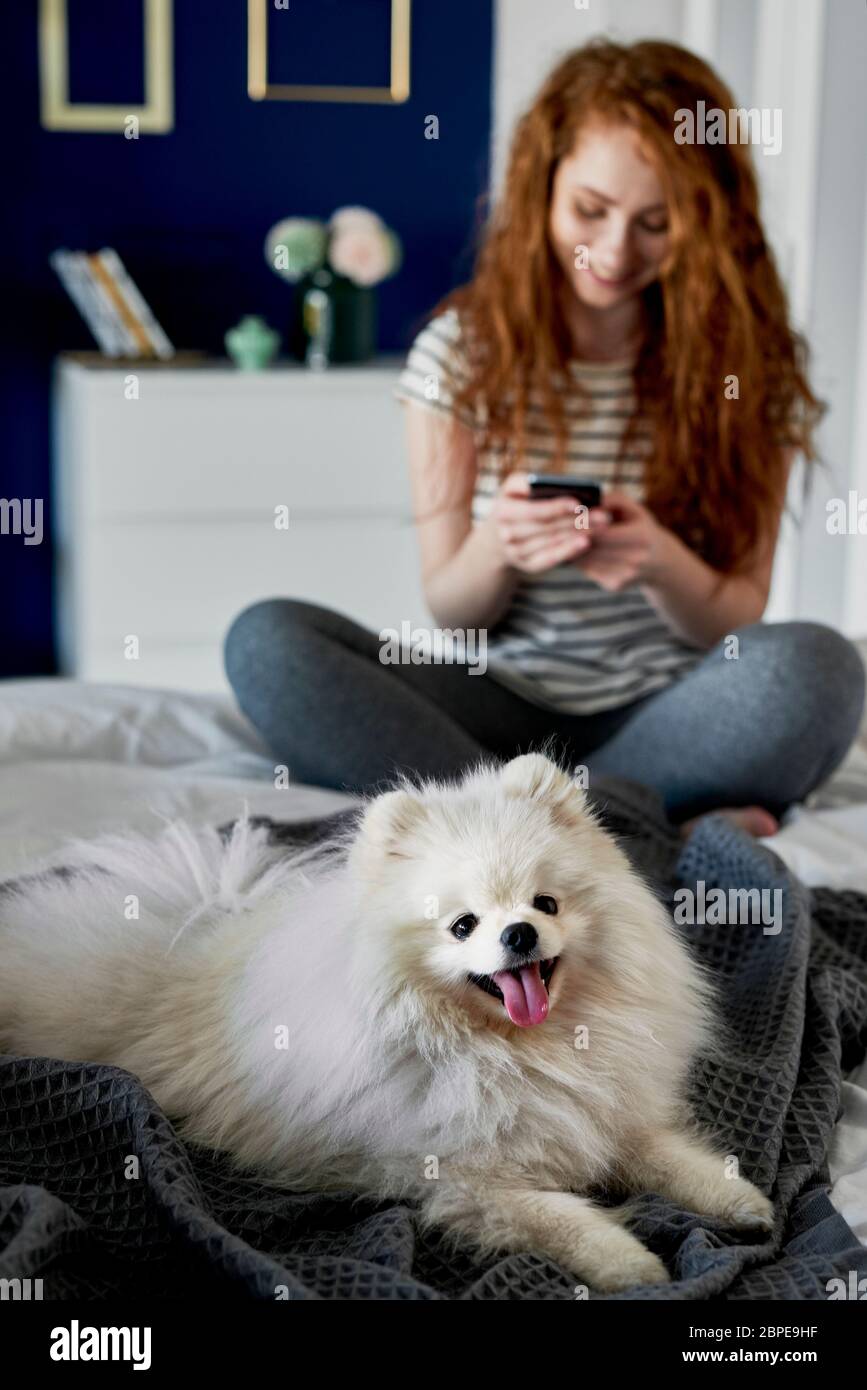 Perro en primer plano y su dueño en segundo plano Foto de stock