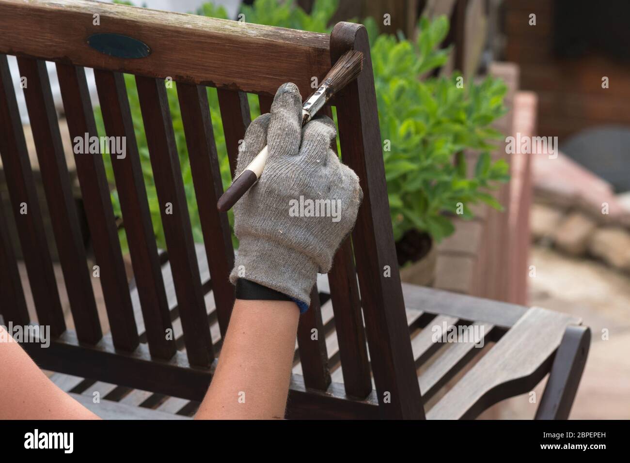 Streichen und Auftragen von schützenden umweltfreundlicher Farbe auf einem hölzernen Gartenstuhl. Foto de stock