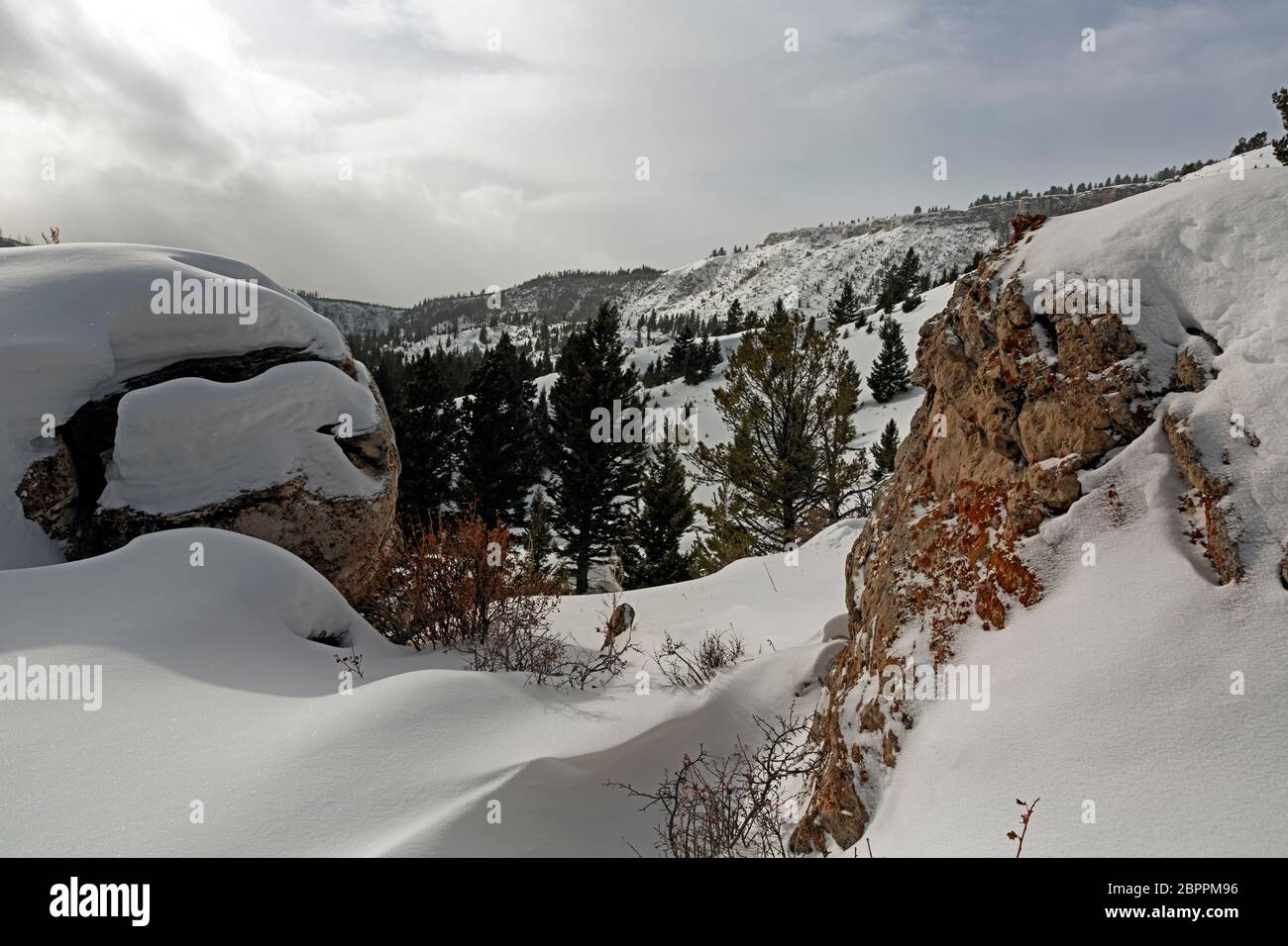 WY04455-00...WYOMING - pedazos cubiertos de nieve de una antigua terraza travertina, llamada Hoodoos, a lo largo del Howard Eaton Trail en el Parque Nacional Yellowstone Foto de stock