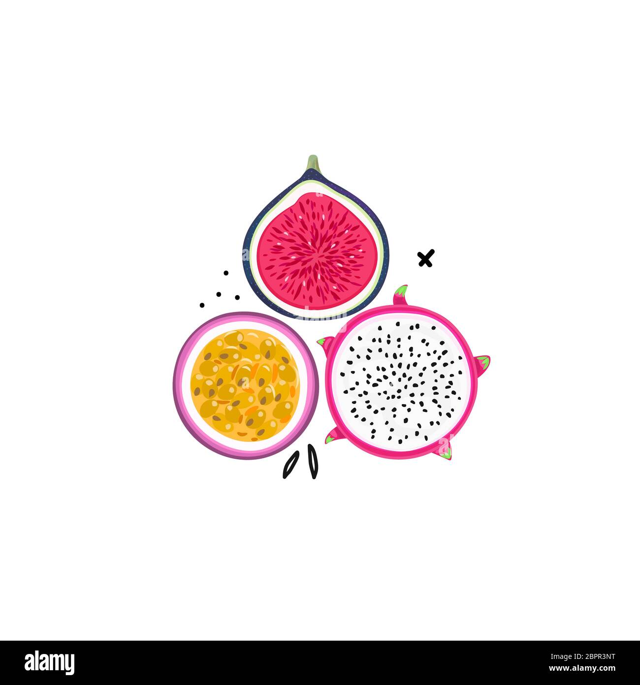 Vector frutas tropicales aisladas. Pitahaya o pitaya, fruta de la pasión,  higo. Estilo artístico creativo. Puede usarse para tarjetas, tarjetas  postales, portadas, pancartas, pri Fotografía de stock - Alamy