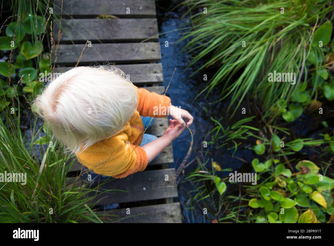 Curioso muchacho rubio jugando en una pequeña cala en la naturaleza sueca.  Bosque Aventura para los niños. Vista superior desde arriba Fotografía de  stock - Alamy