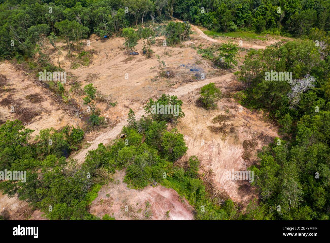 Vista aérea de la tala y deforestación de una selva tropical en Tailandia rural Foto de stock
