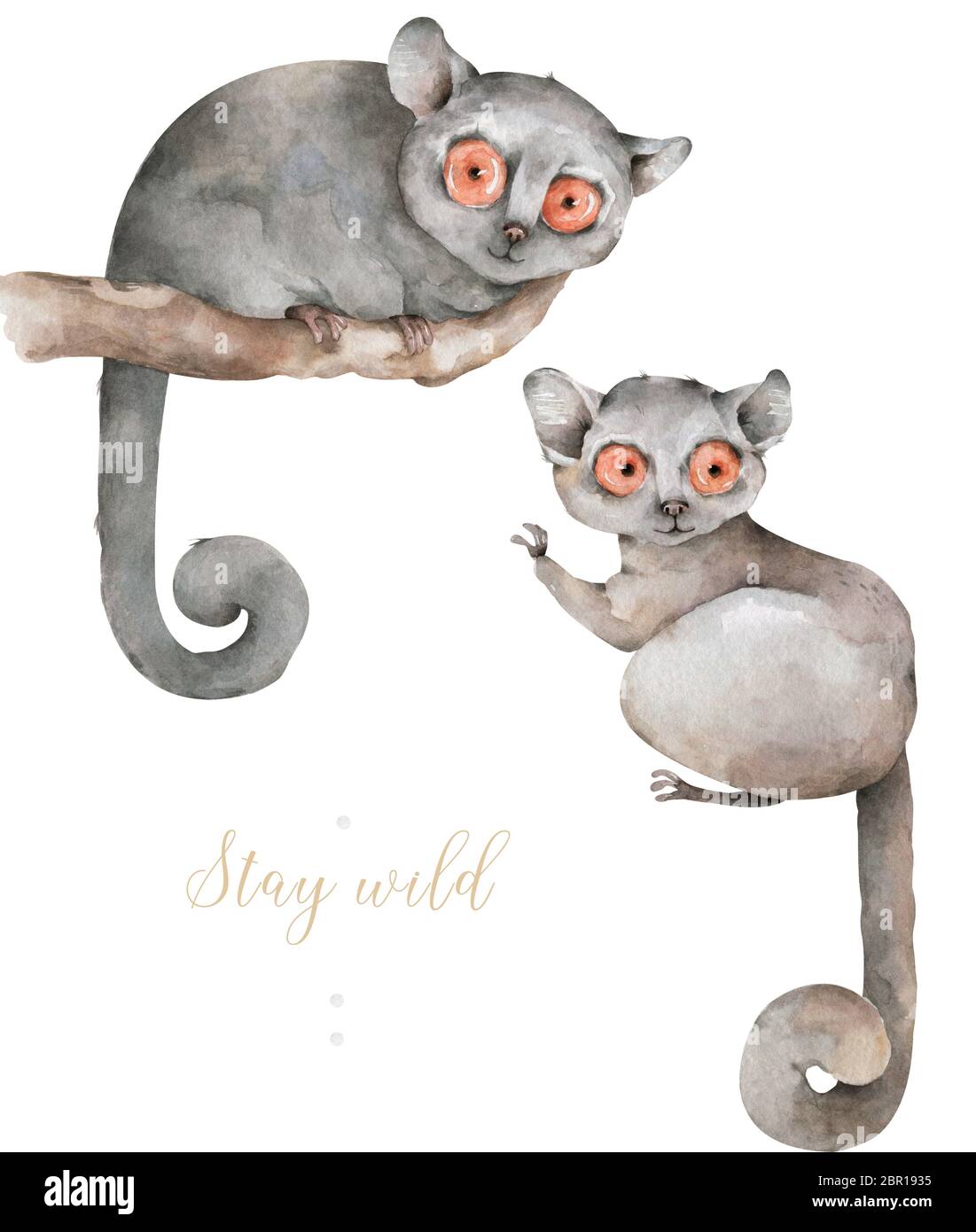 Limur De Raton Para Bebe Dibujo A Mano Lindo Watercolor Dibujos Raton Lemur En El Arbol Con Hojas De La Selva Sobre Fondo Blanco Fotografia De Stock Alamy