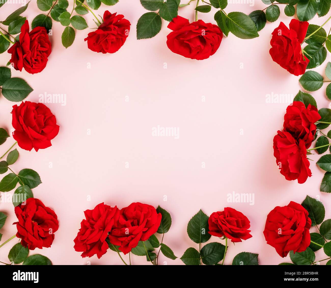 Fondo de rosas rojas frescas y espacio de copia para su texto o decoración.  Vista superior, plano Fotografía de stock - Alamy