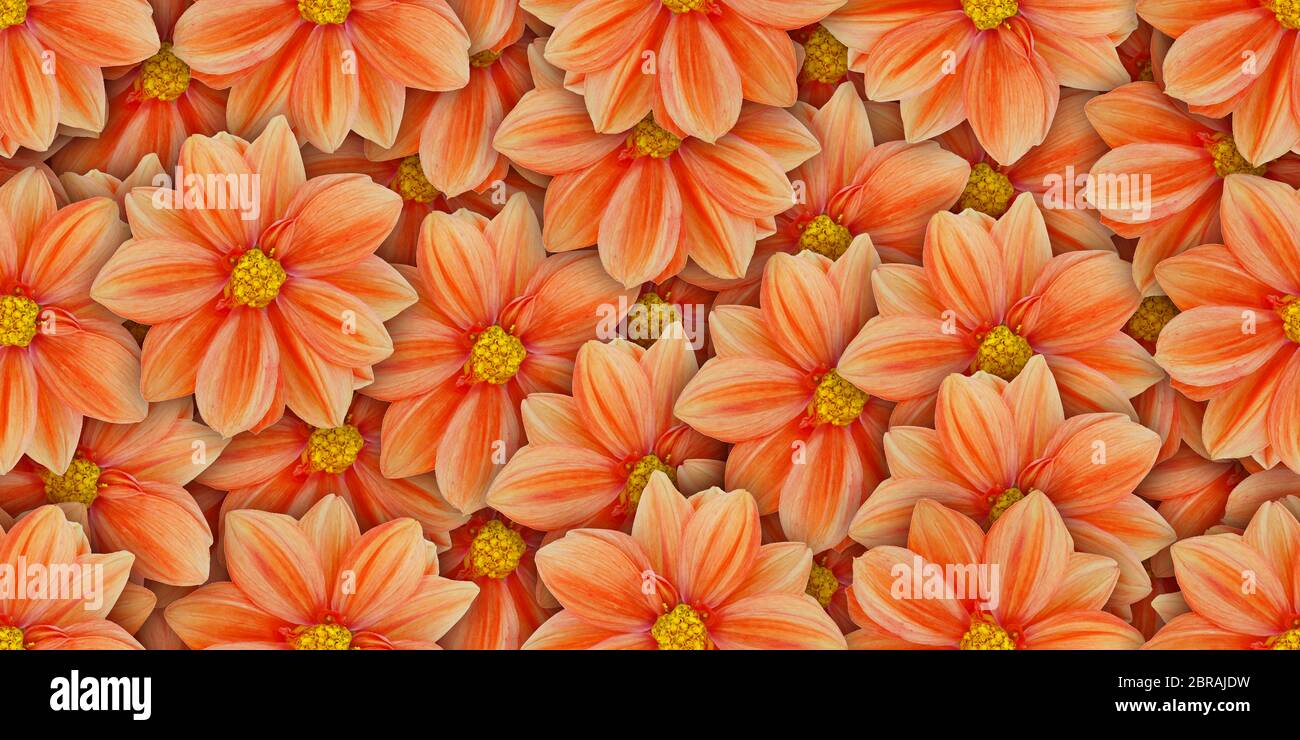 Imagen romántica para imprimir fotografías e imágenes de alta resolución - Página 5 - Alamy Imagen romántica para imprimir fotografías e imágenes de alta resolución - Página 5 - Alamy