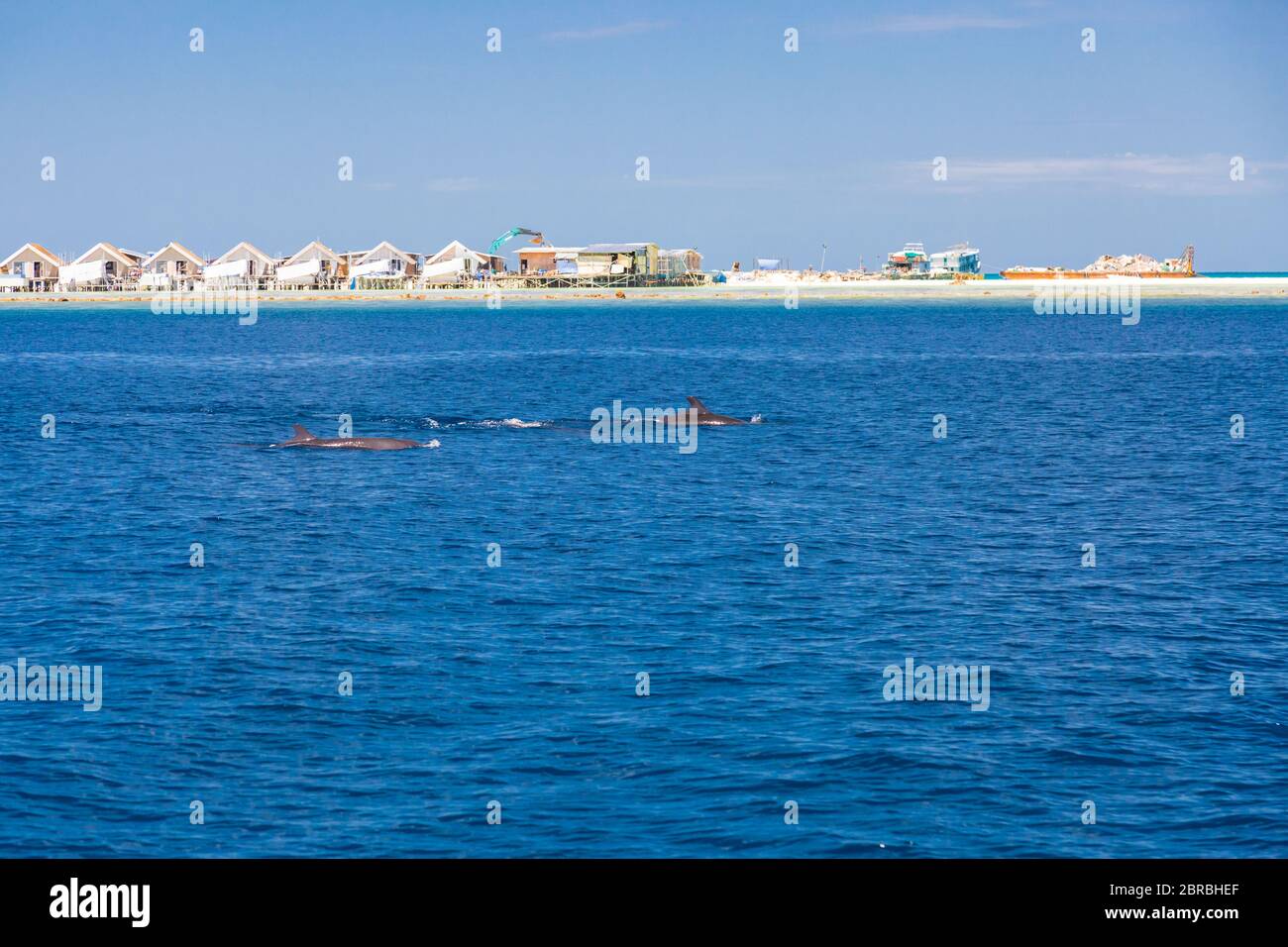 Paisaje en las islas Maldivas y sobre villas y bungalows con grupo de delfines nadando Foto de stock