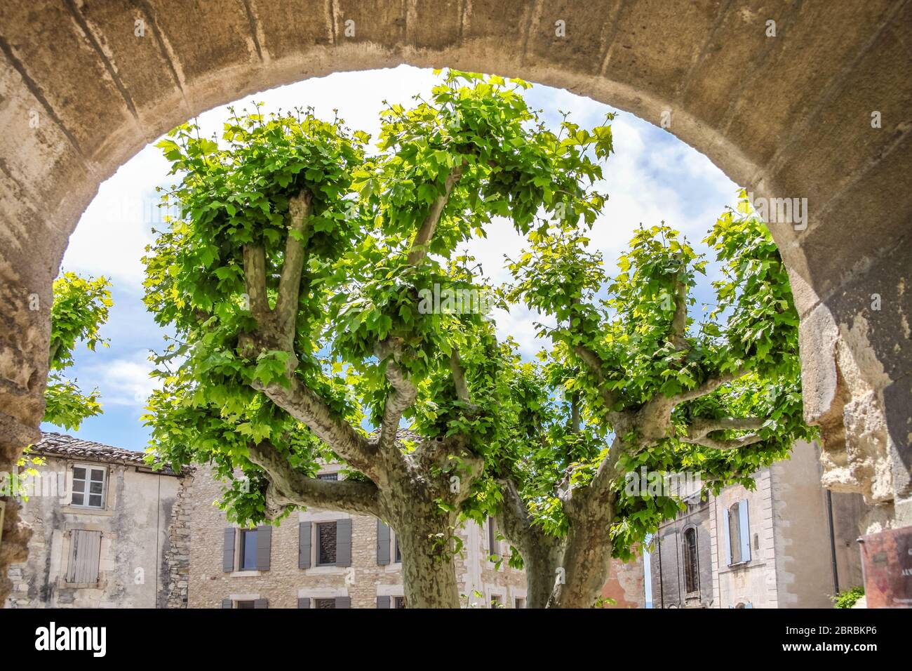 Plaza del pueblo con árboles de avión en Gordes, Provenza, Francia Foto de stock