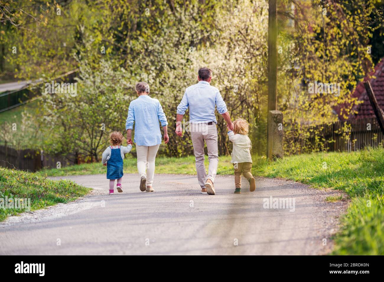 Abuelos mayores con nietos pequeños caminando en carretera en primavera. Foto de stock