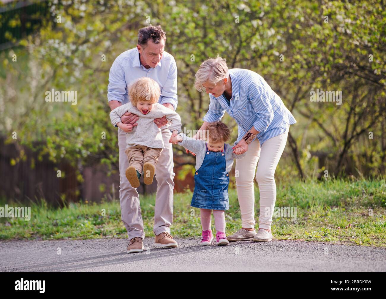 Abuelos mayores con nietos pequeños caminando en la naturaleza en primavera. Foto de stock
