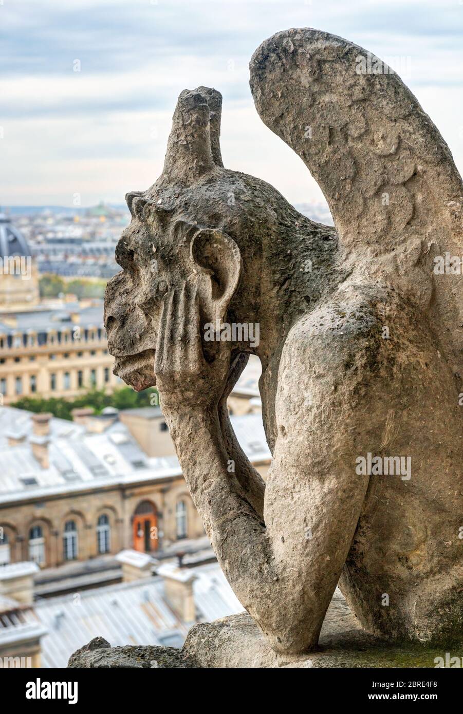 Quimera (gárgola) de la catedral de Notre Dame de París con vistas a