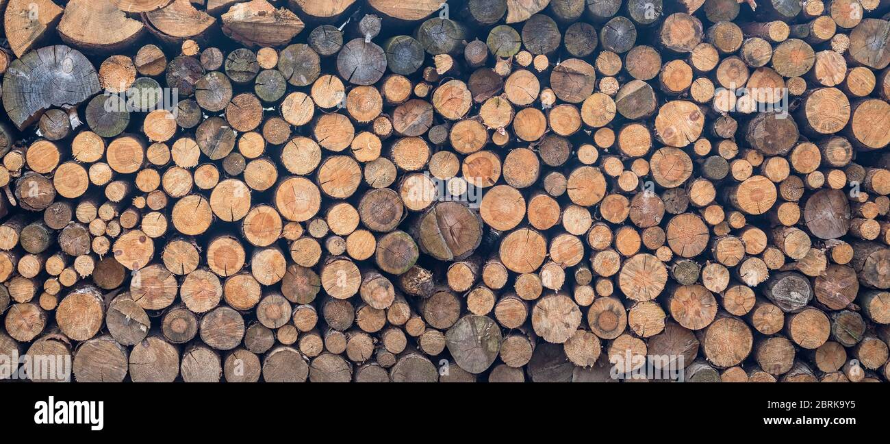 leña apilada - textura fondo de madera troncos Foto de stock