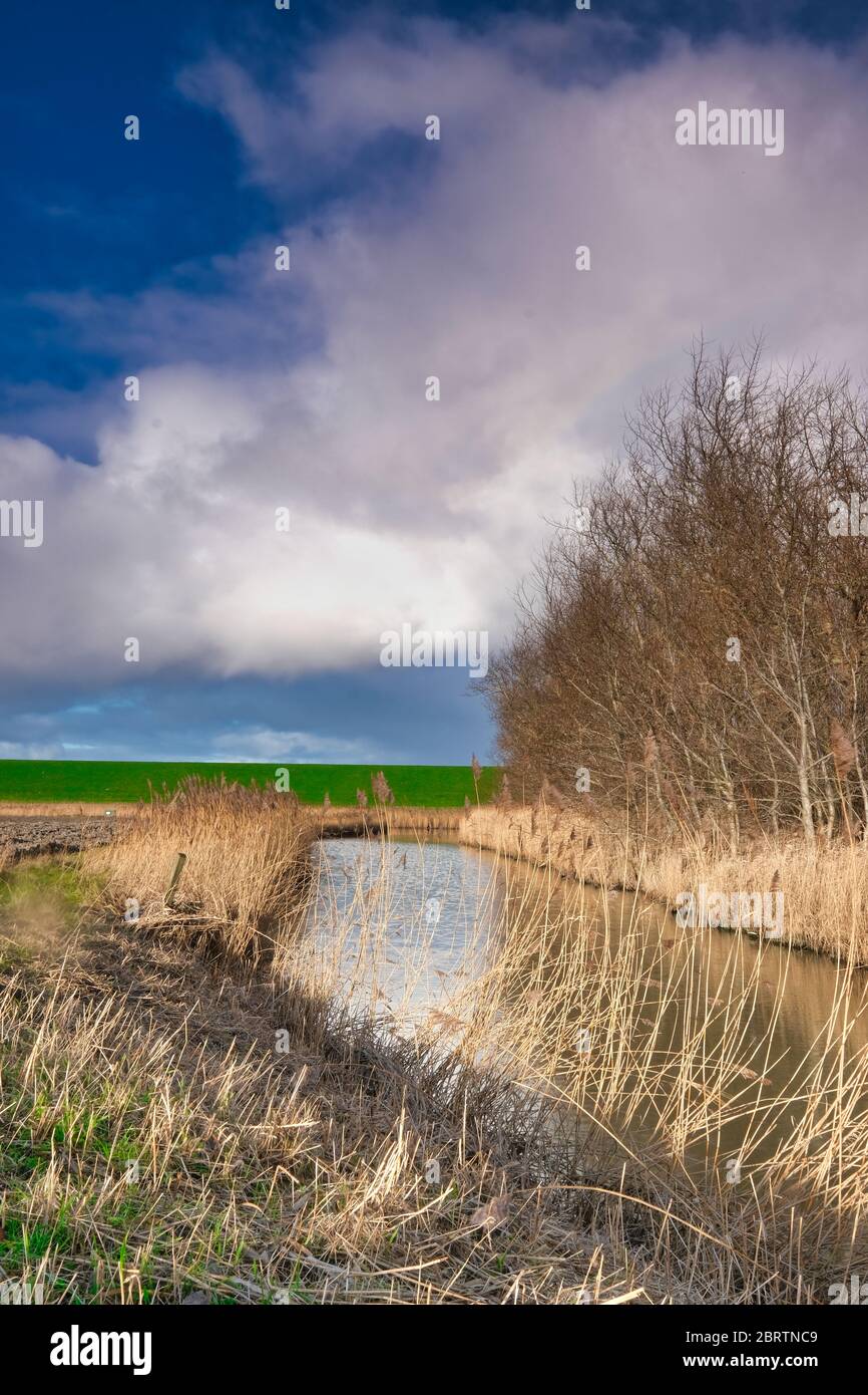 Paisaje en los países Bajos con un río, pastos y un cielo dramático, reflejo en el agua. Los árboles en el fondo. Foto de stock