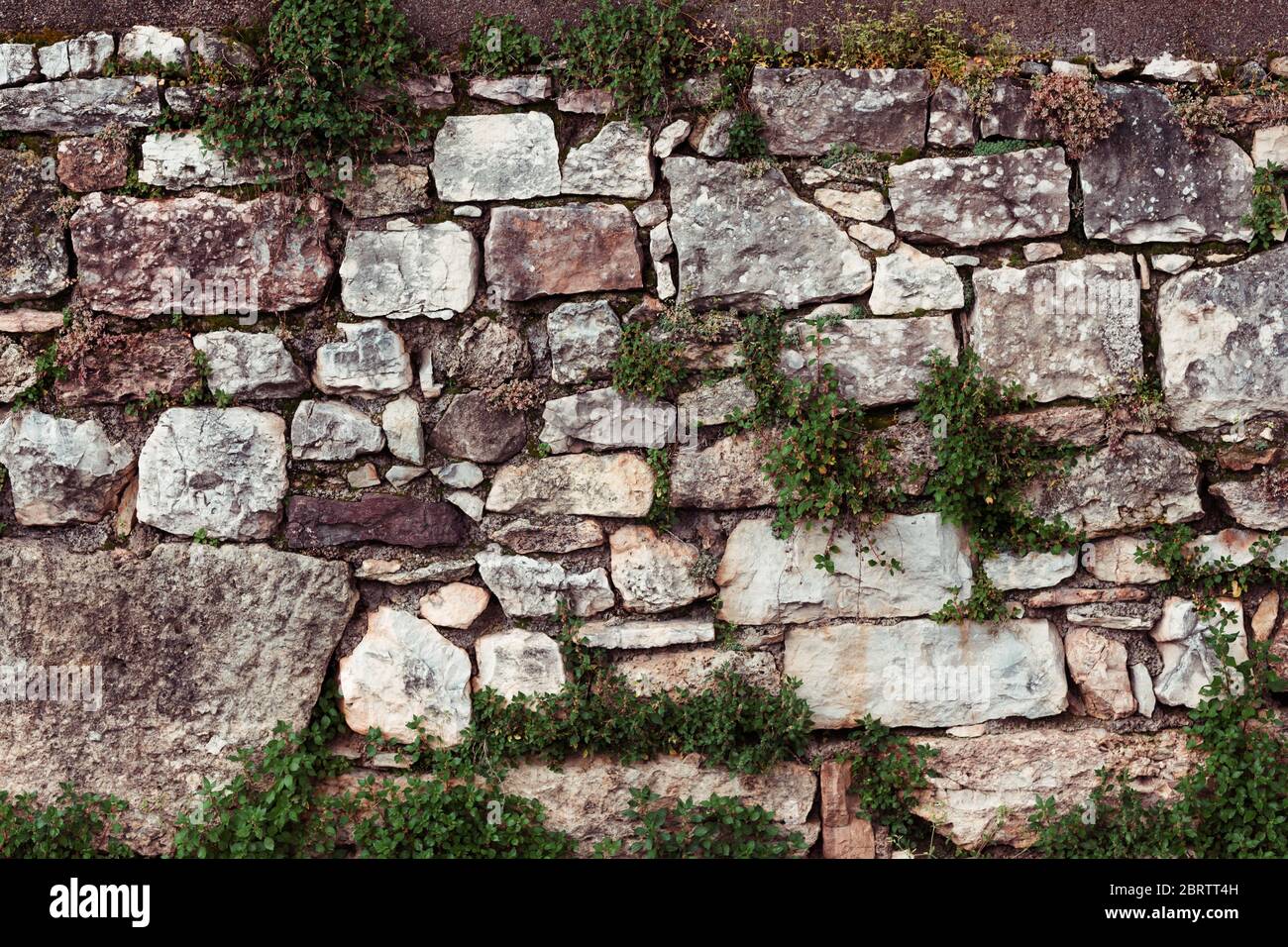 Muro De Pedra Com Musgo E Plantas Verdes. Captura De Reforço Da Via De  Cobertura. Pavimentação De Pedra Natural No Parque Próximo. Imagem de Stock  - Imagem de velho, estrutura: 262768673