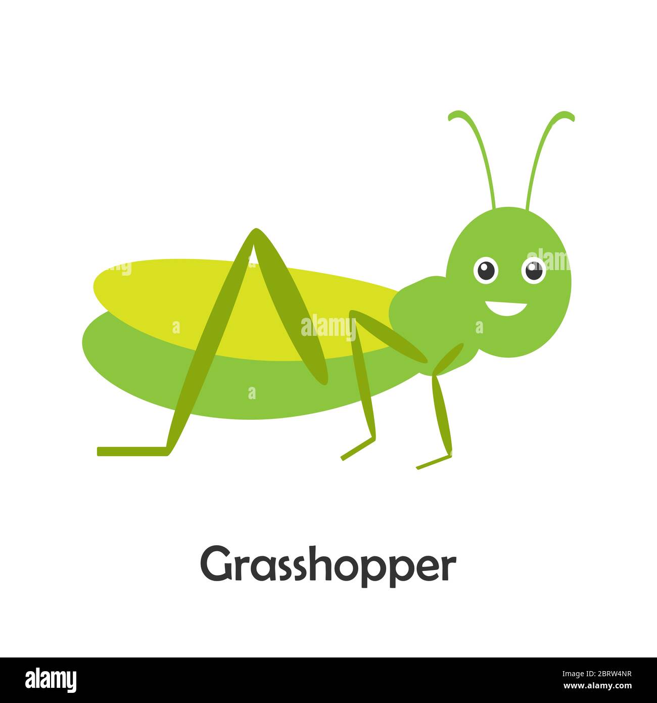 Grasshopper en estilo de dibujos animados, tarjeta de insectos para niños,  actividad preescolar para niños, ilustración vectorial Imagen Vector de  stock - Alamy