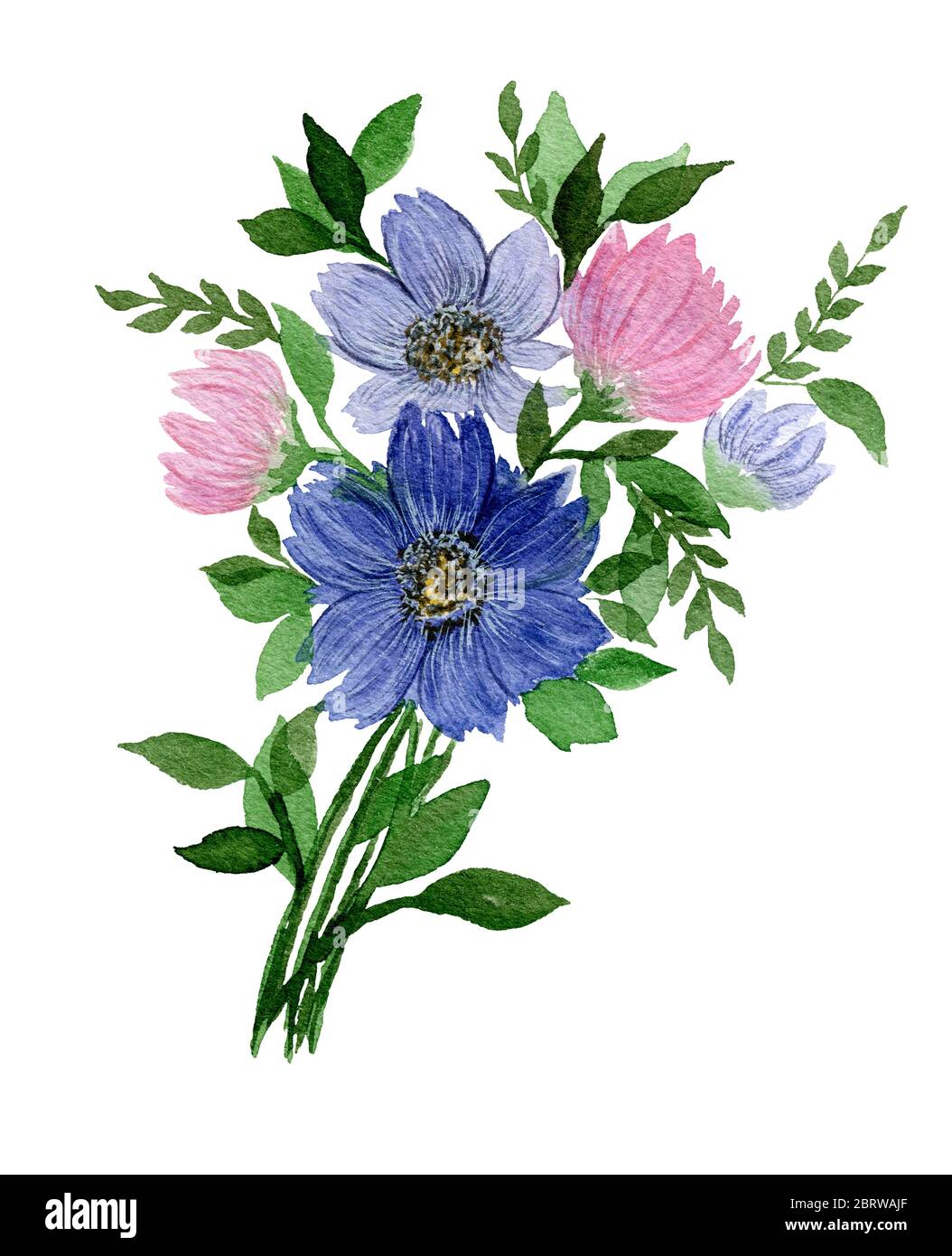 ramo de flores silvestres de primavera aisladas sobre blanco, ilustración  de acuarela botánica con flores azules y rosadas Fotografía de stock - Alamy