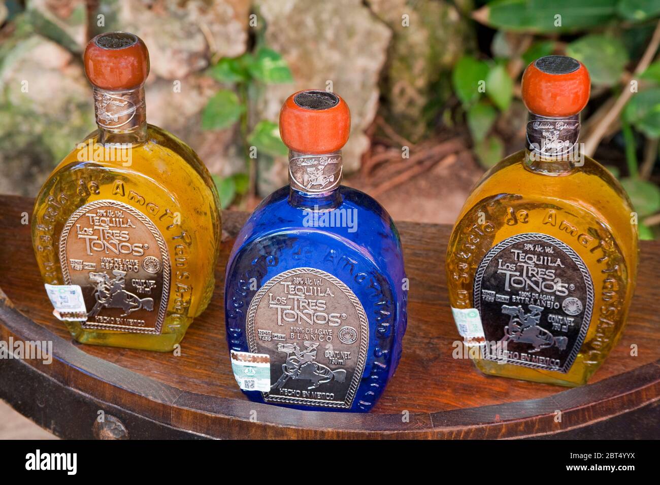 Botellas Tequila en la Isla Cozumel, Quintana Roo, México Fotografía de stock Alamy