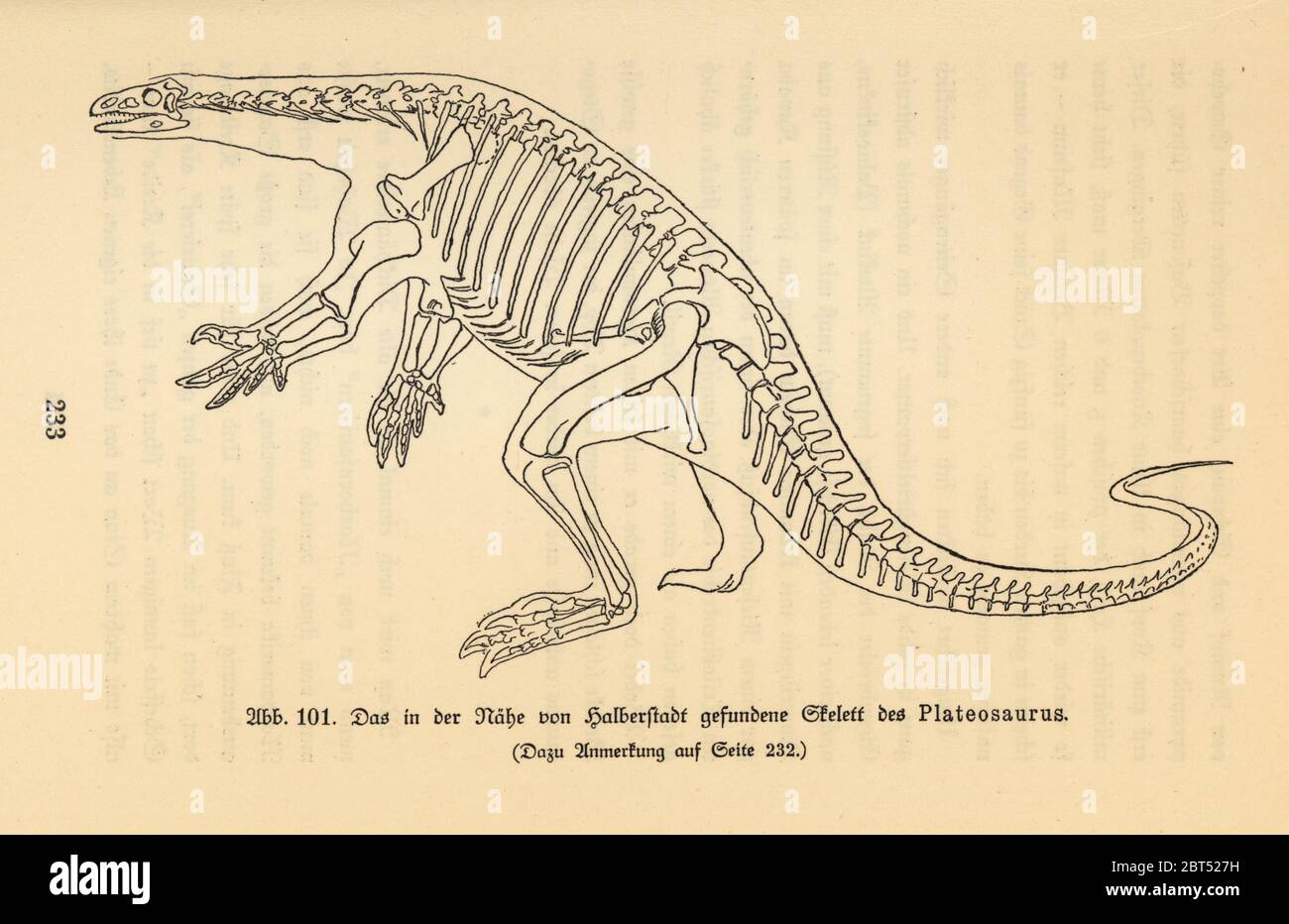 Reconstrucción de un dinosaurio depredador extinto, Plateosaurus, período Triásico Tardío, basado en un esqueleto fósil encontrado en Halberstadt. Ilustración de Wilhelm Bolsches Das Leben der Urwelt, Prehistoric Life, Georg Dollheimer, Leipzig, 1932. Foto de stock