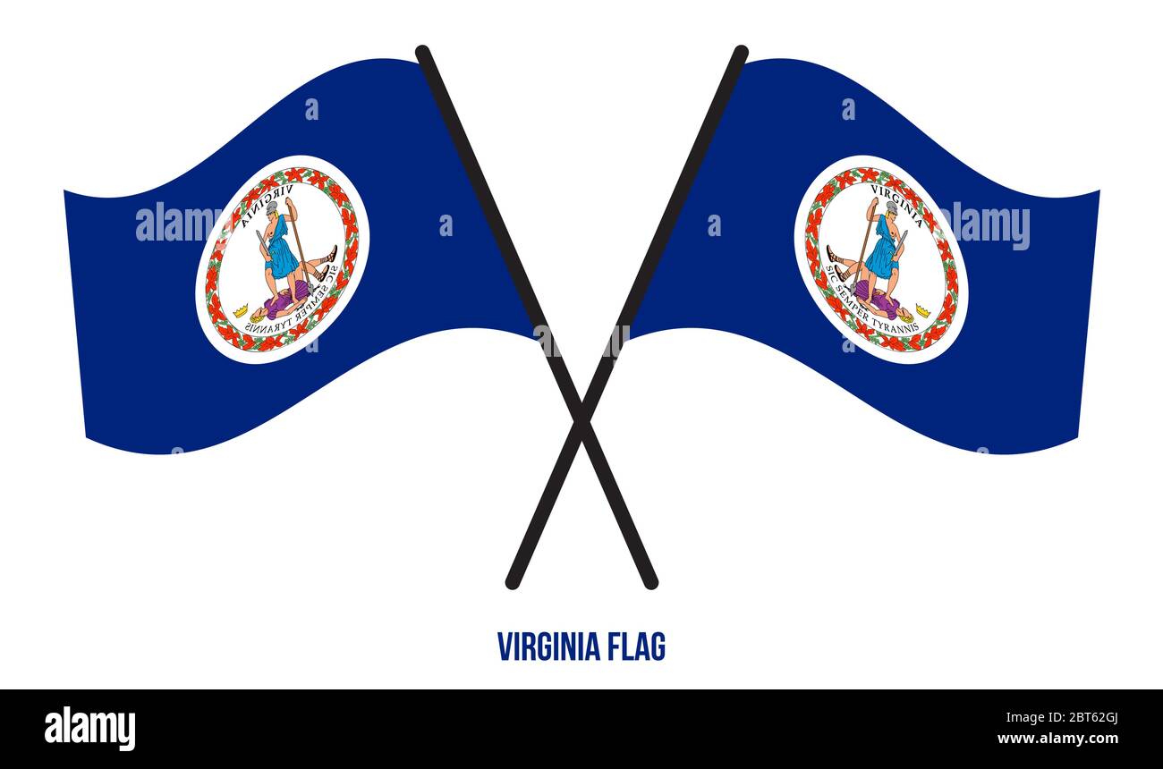 Dos Cruzaron La Bandera De Virginia En El Fondo Blanco Aislado Estados Unidos Usa Ilustraci N