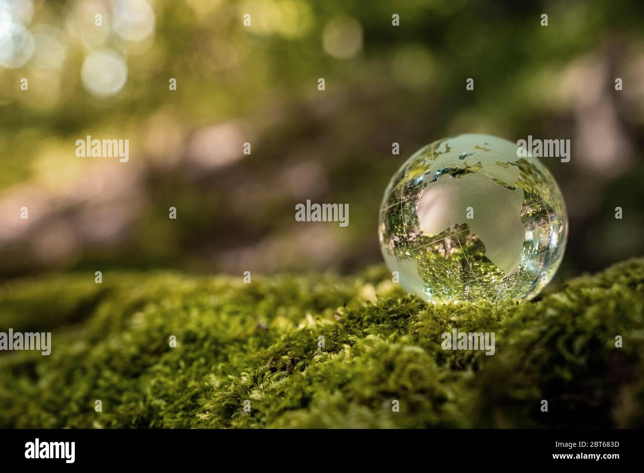 Concepto de conservación del medio ambiente. Cerca de globo de cristal en el bosque con espacio de copia Foto de stock