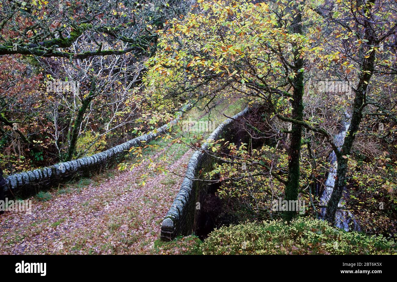 El viejo puente de piedra de Tinkler's Loup en Kendoon, Upper Glenkens, Galloway Foto de stock