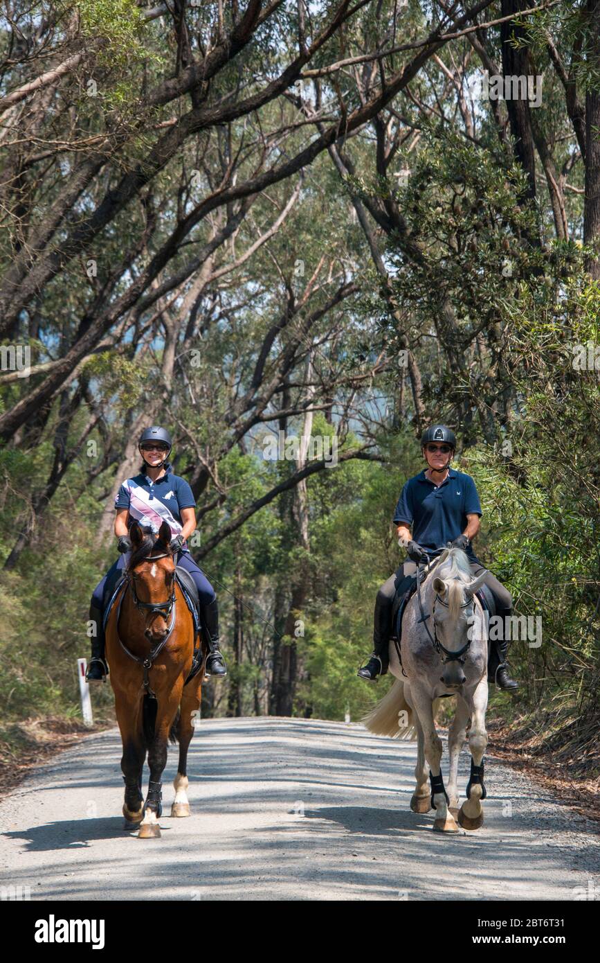Dos ecuestres equitación Yarrawa Kangaroo Valley NSW Australia Foto de stock