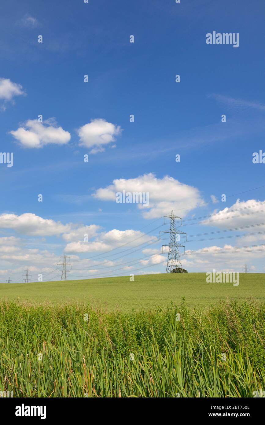 Electricidad líneas de energía eléctrica a través de campos verdes, Warwickshire / Leicestershire, Midlands, Reino Unido Foto de stock