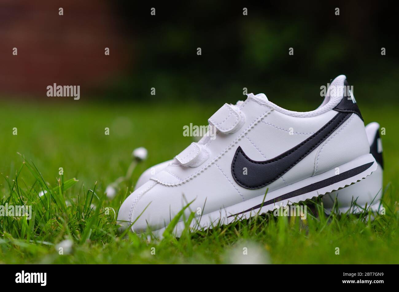 La foto de primer plano de las zapatillas Nike blancas para niños en el  verde césped. Se utilizó un campo de visión poco profundo para la  adquisición de imágenes Fotografía de stock -