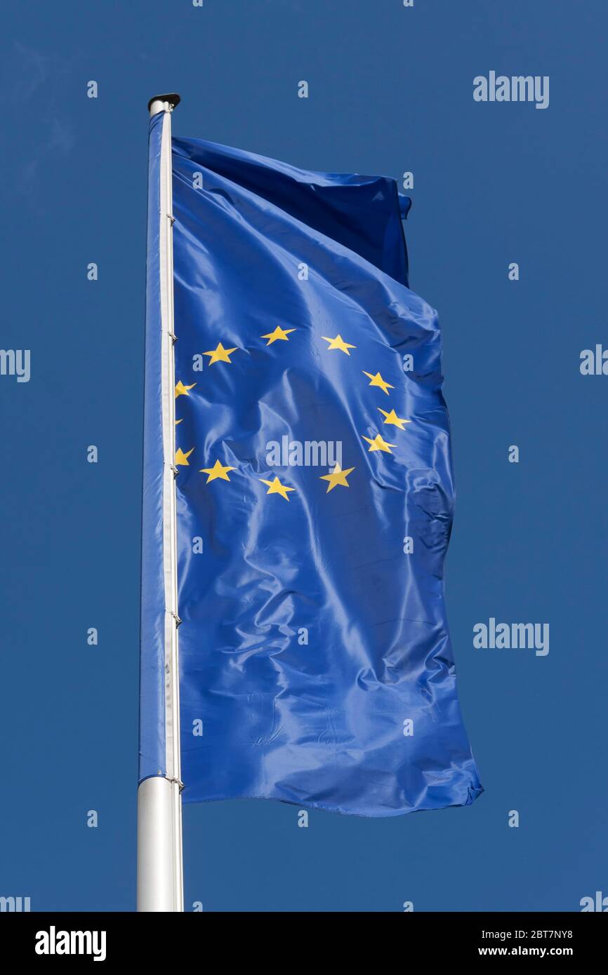 Bandera europea de la agitada Foto de stock