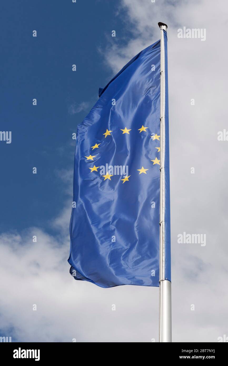 Bandera europea de la agitada Foto de stock