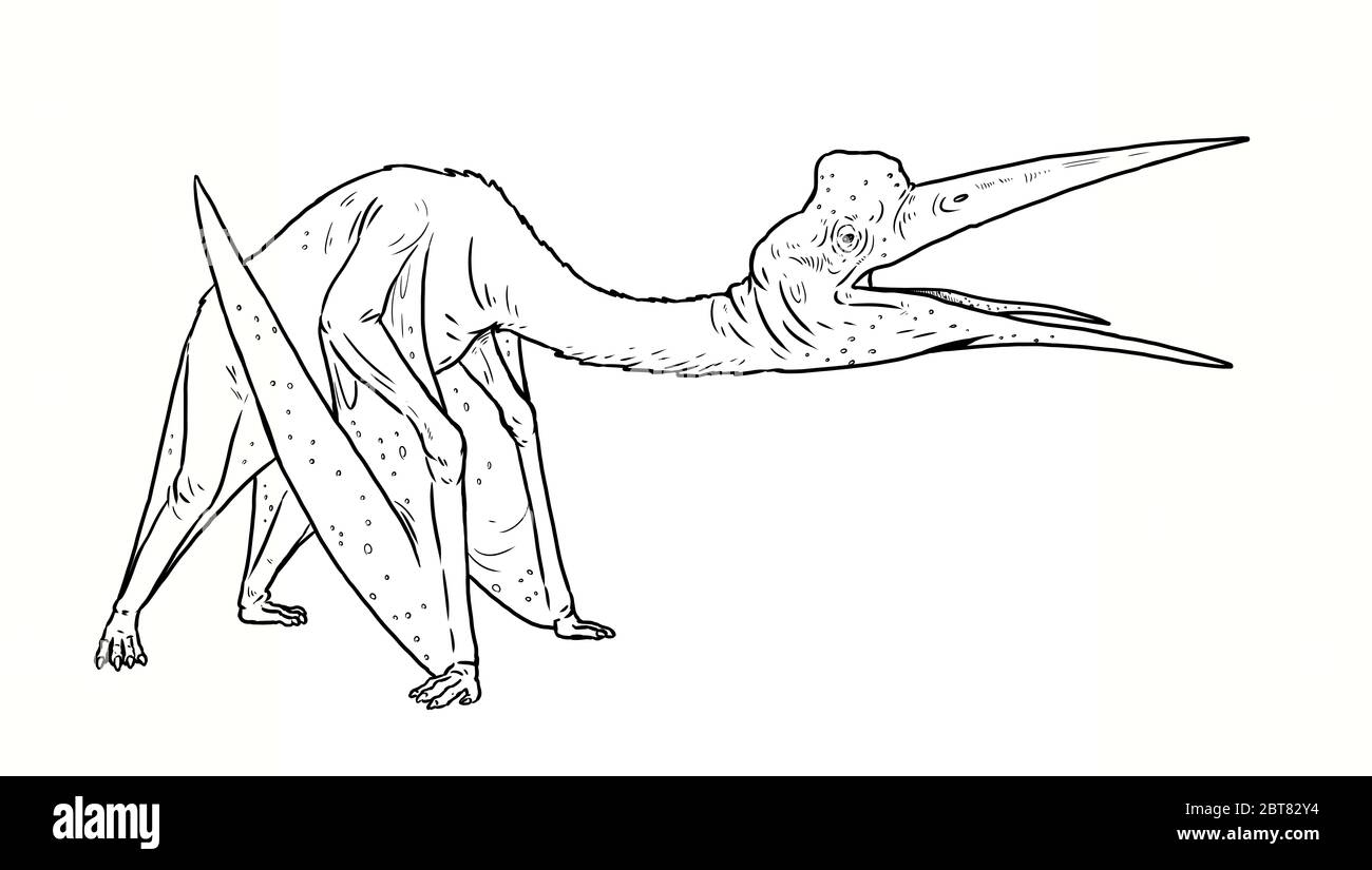 Pterosaurio prehistórico - Quetzalcoatlus. Reptiles voladores del período  jurásico Fotografía de stock - Alamy