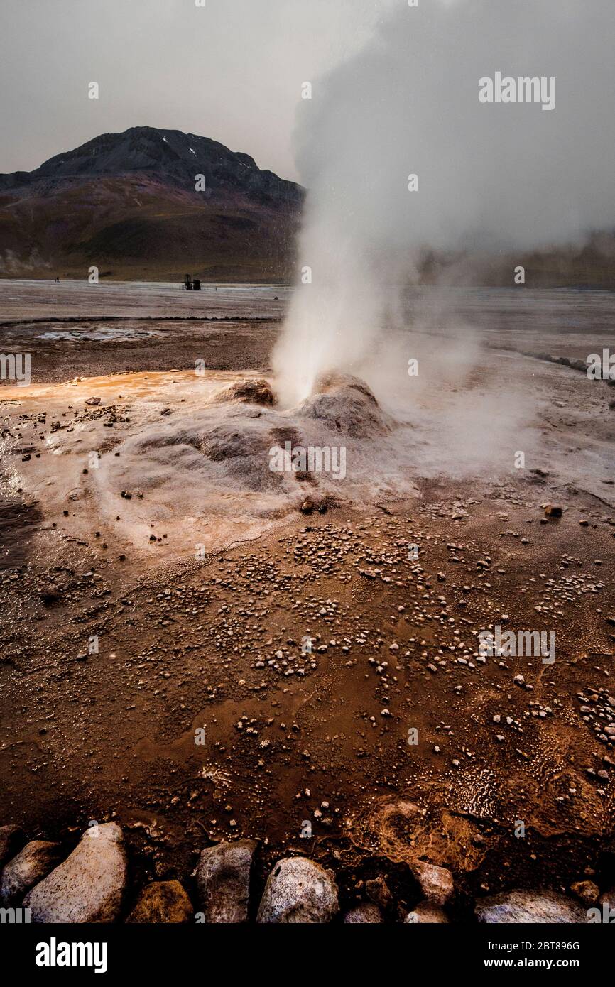 Géiseres del Tatio en el desierto de Atacama, Chile Foto de stock