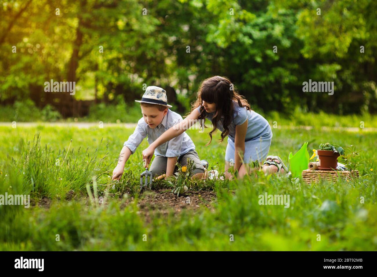 Joven niña y joven jardinero de niño de la planta flores en el jardín de verano al atardecer. Actividades de verano. Foto de stock