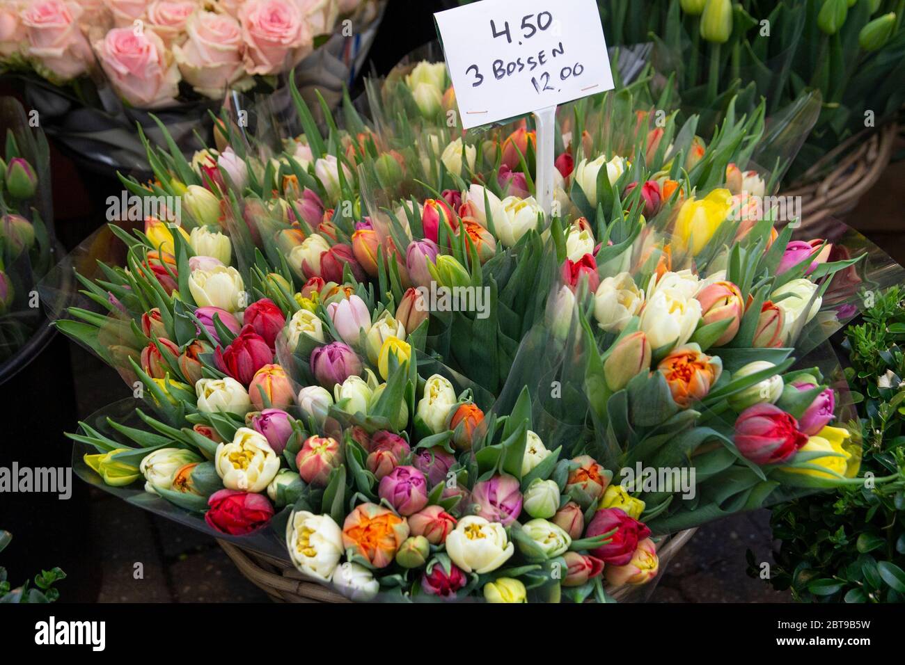 Tulipanes coloridos en venta en floristería Foto de stock