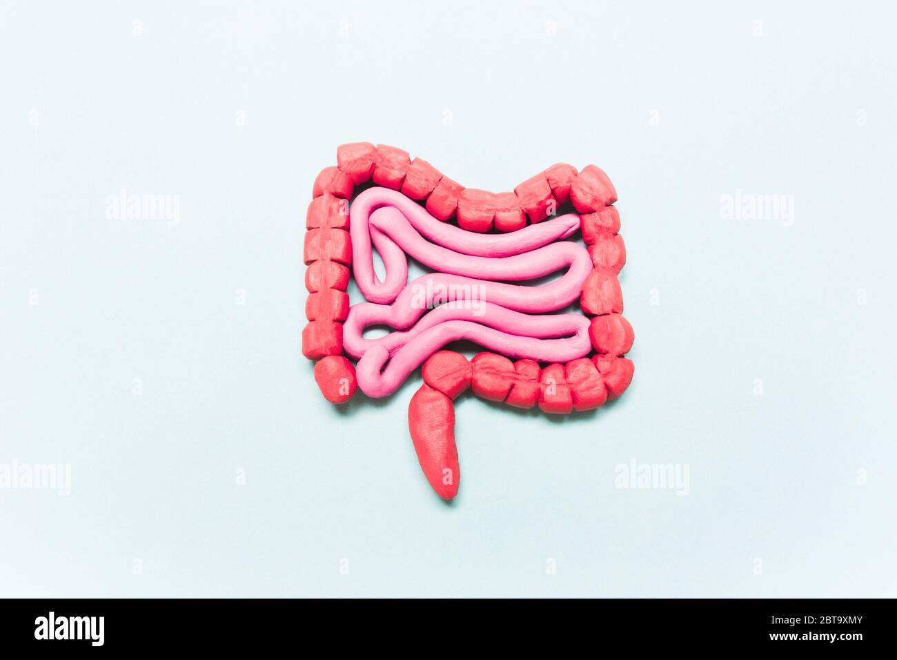 Modelo intestinal sobre fondo azul. El concepto de tratamiento de la enfermedad estomacal, microflora, diarrea, estreñimiento Foto de stock