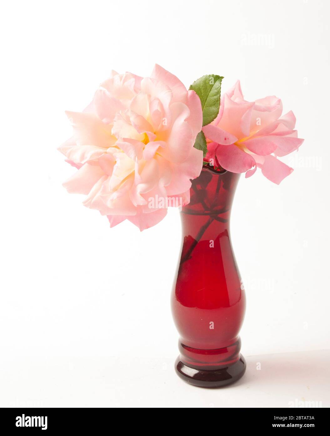 Rosas rosas en un jarrón de cristal Foto de stock