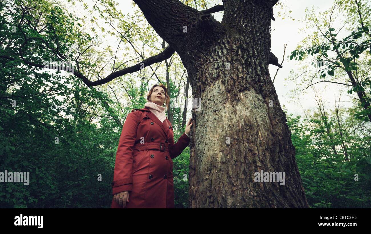 Joven bonita mujer en chaqueta roja toca el árbol grande a mano en el bosque de primavera. Foto de stock