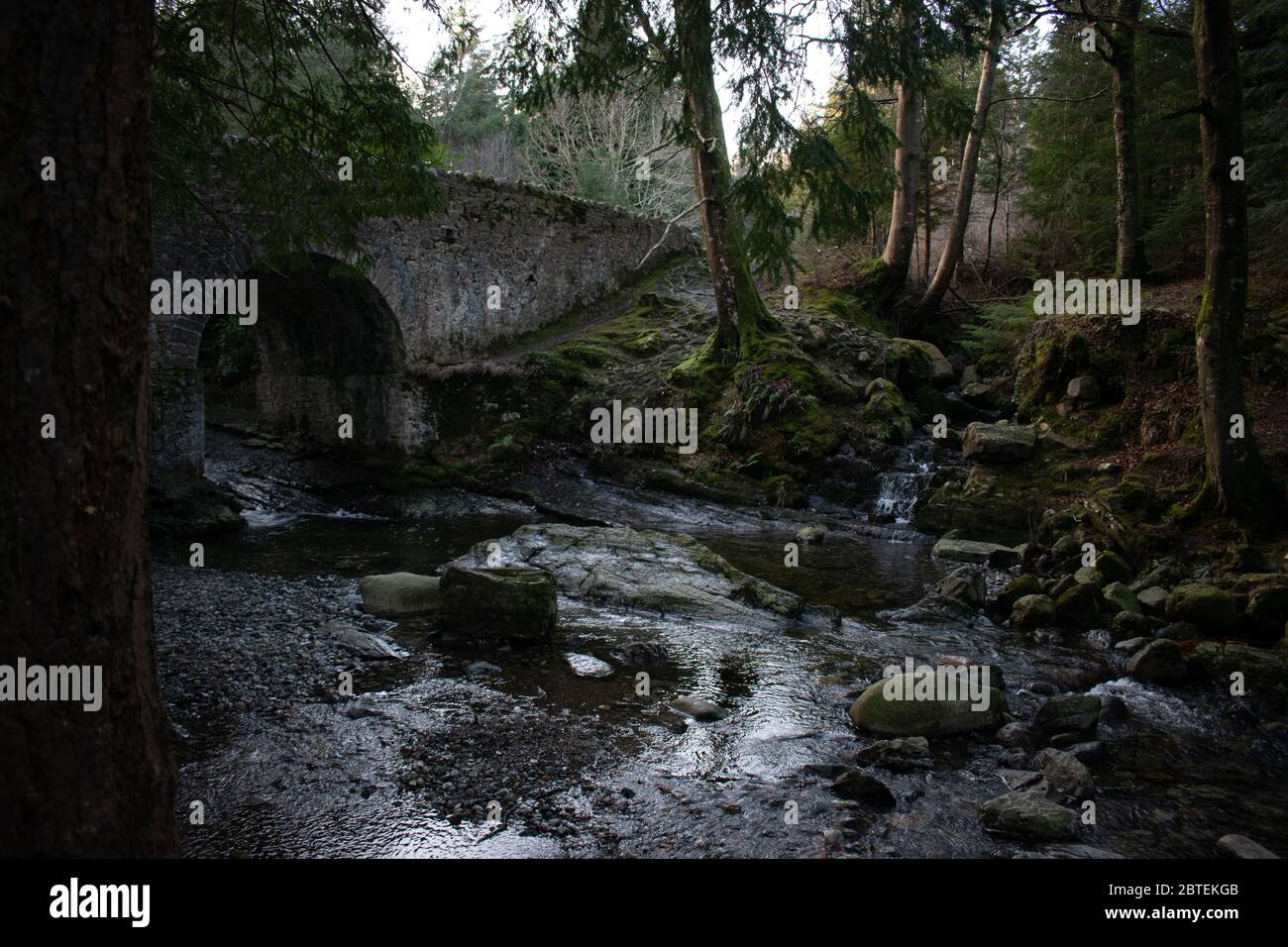 Parque Forestal Tollymore Irlanda del Norte como se ve en Juego de Tronos Foto de stock