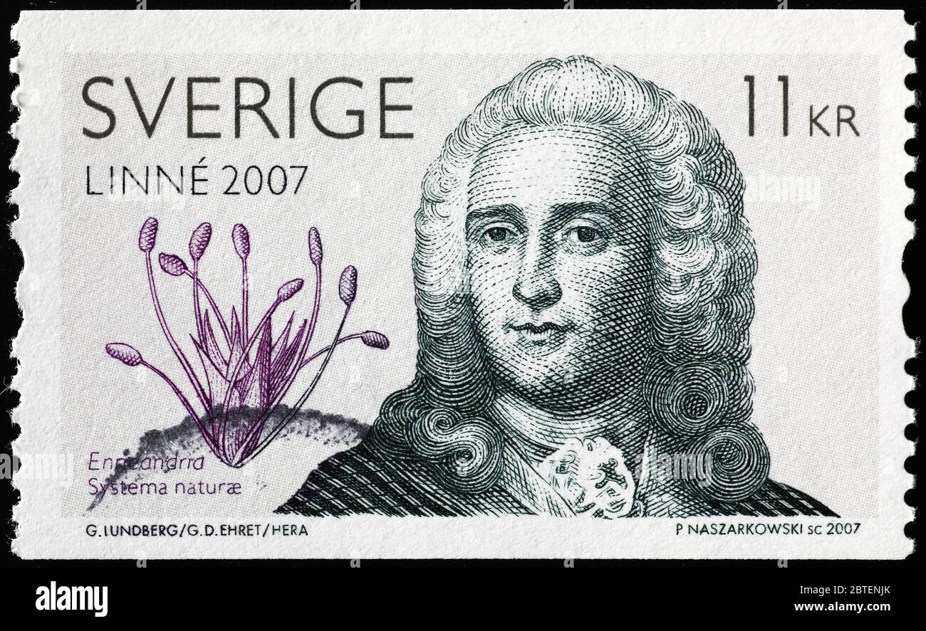 Carl Linnaeus en el sello de correos sueco Foto de stock