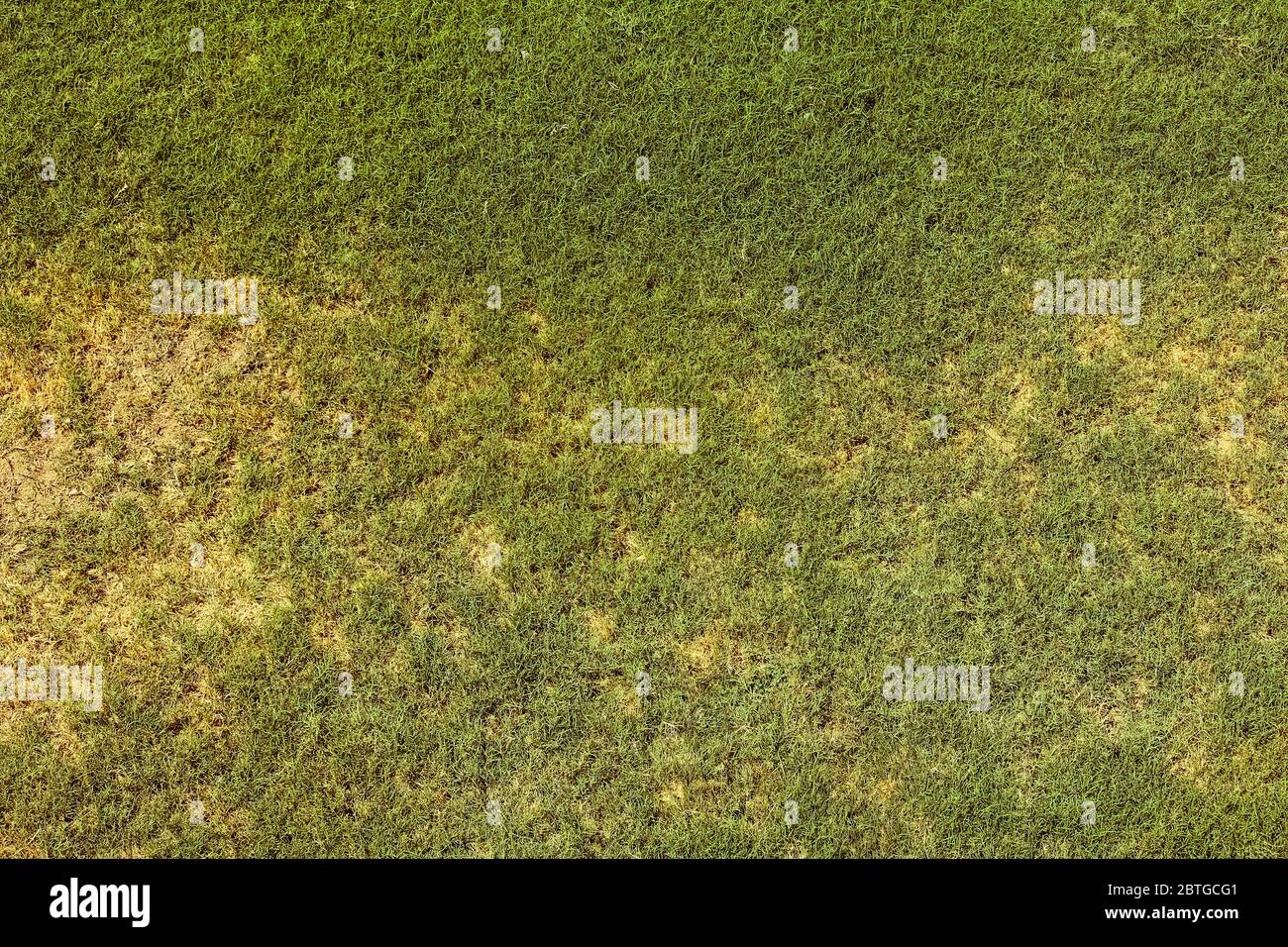 Vista superior del concepto de jardín de césped brillante utilizado para hacer fondo verde, césped para el entrenamiento de campo de fútbol, césped campos de golf césped verde patrón t Foto de stock